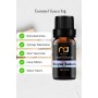 Beyaz Sabun Buhurdanlık Yağı Aromaterapi Yağ Difüzör Esansı Buhur Yağ Oda Kokusu 10 Ml.